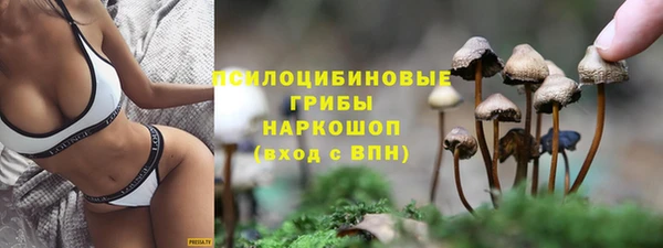 дживик Баксан