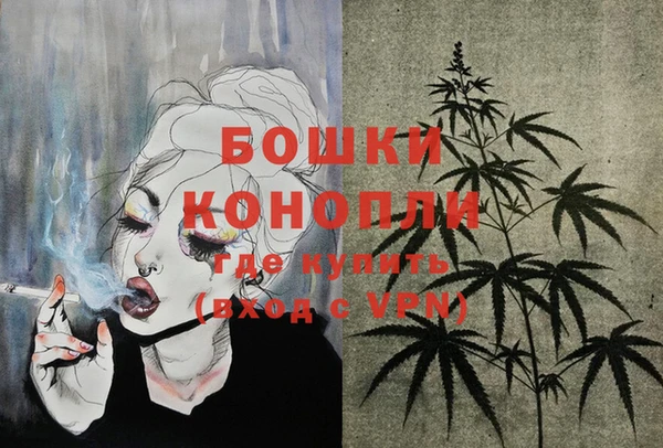 дживик Баксан