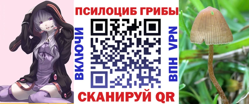 Галлюциногенные грибы GOLDEN TEACHER Чёрмоз